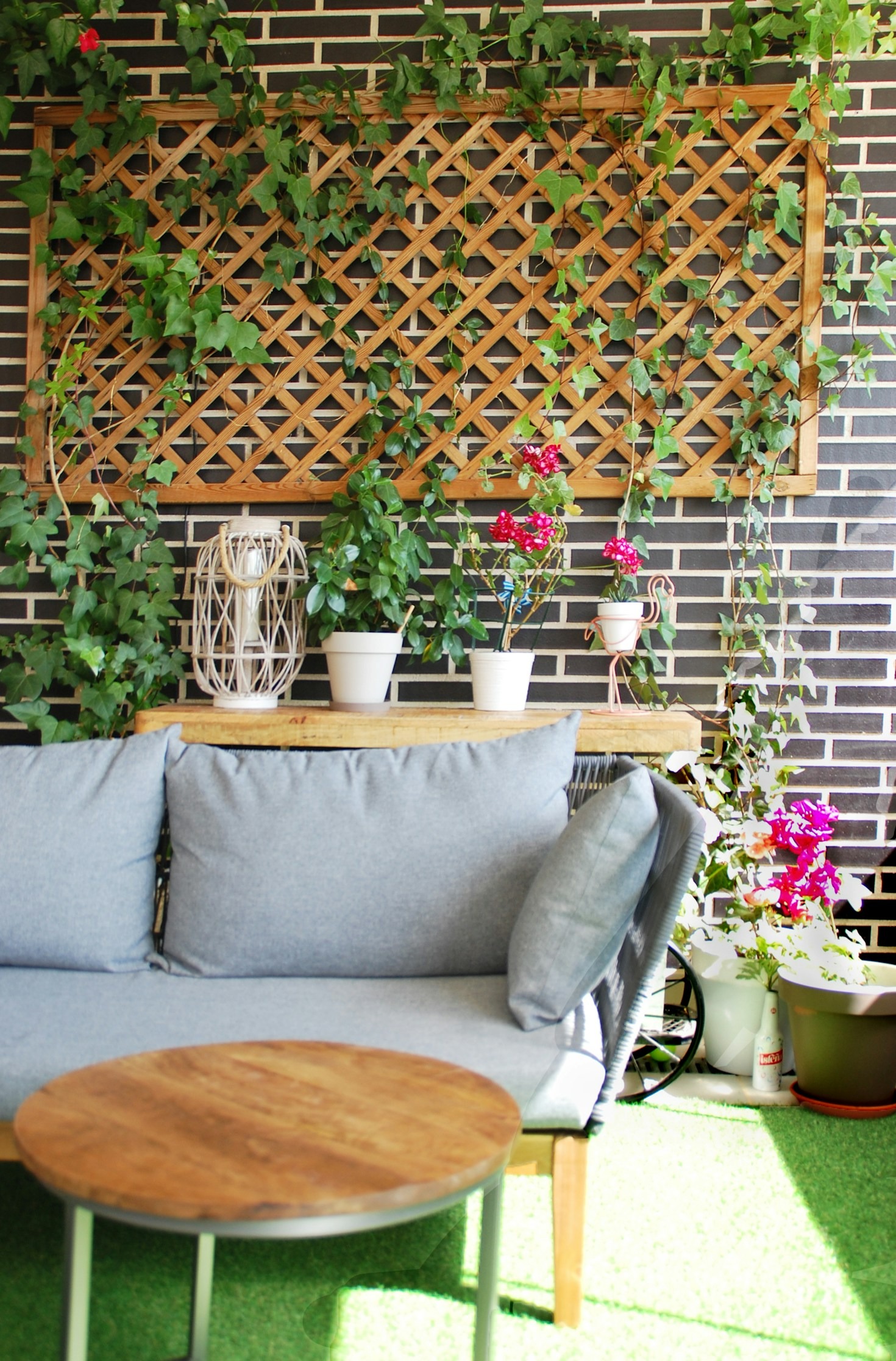 Tendencias de diseño de jardines para este año